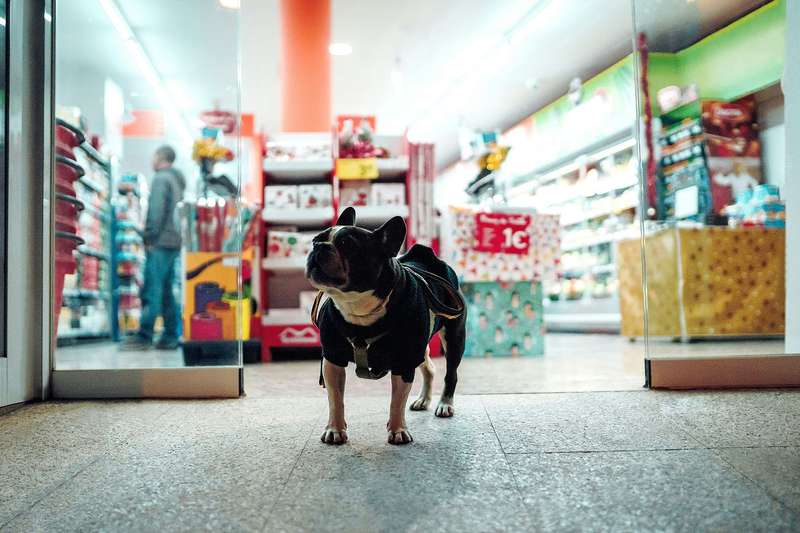 Фото unsplash.com