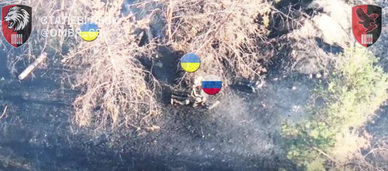 Фото: скріншот з відео