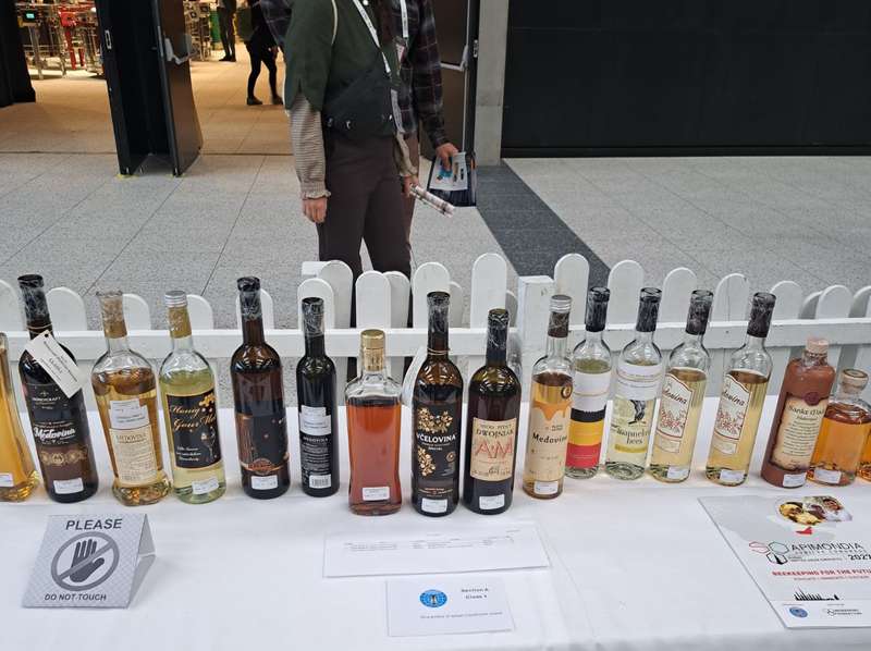 Фото з архіву Володимира Дмитрука (2)