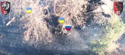 Фото: скріншот з відео