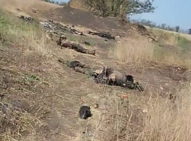 Скрін з відео