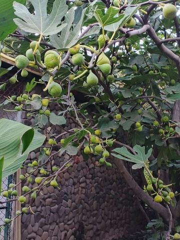 Фото з архіву Галини Гончарової
