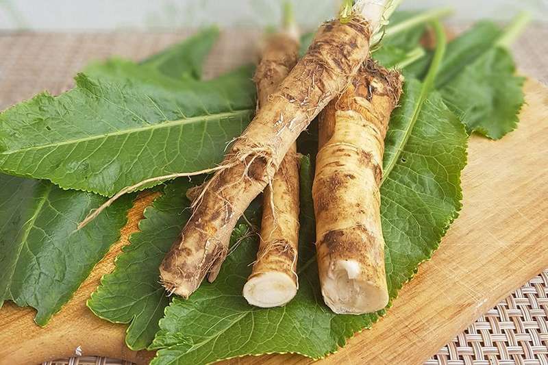 Фото pixabay.com