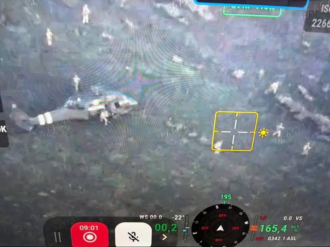 Фото: x.com/olliecarroll