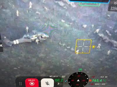 Фото: x.com/olliecarroll