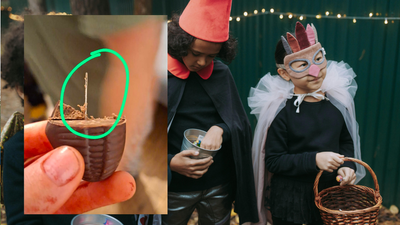 Колаж Експресу