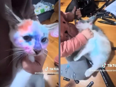 Скриншот з відео