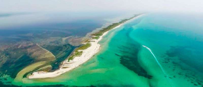 Фото: wikimedia.org