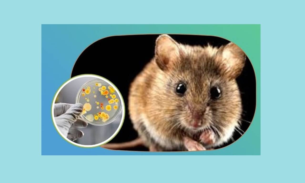 Фото facebook.com