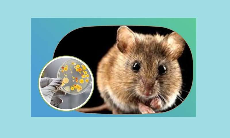 Фото facebook.com