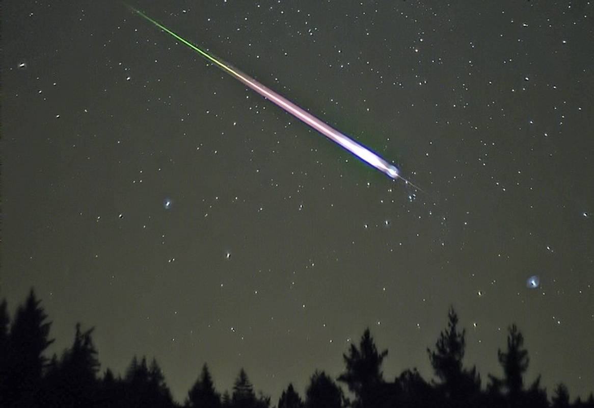 Фото uk.wikipedia.org/wiki/Леоніди