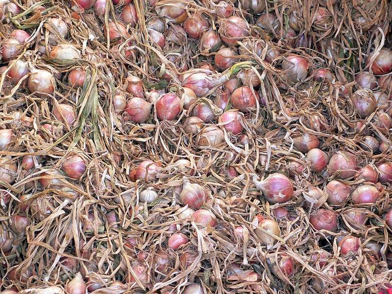 Фото: wikimedia.org