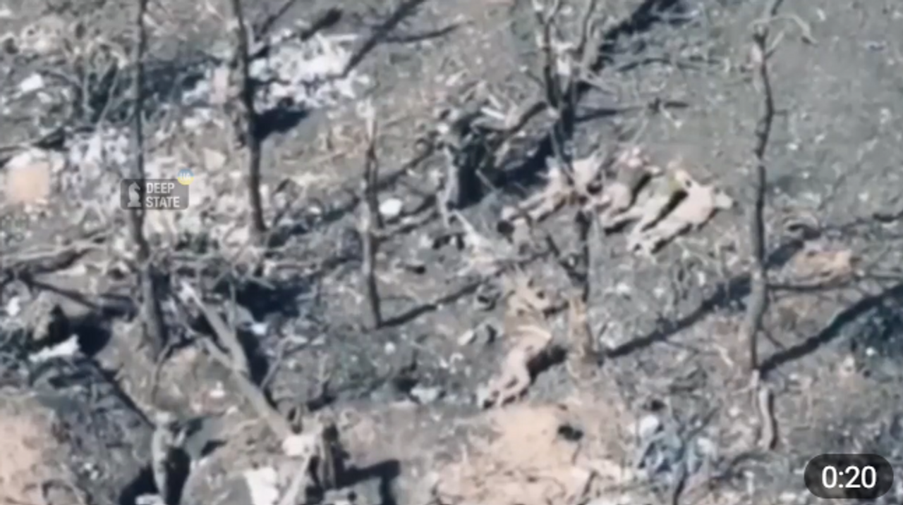 Скрін з відео