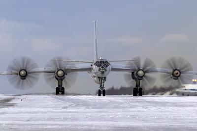 Фото: wikimedia.org