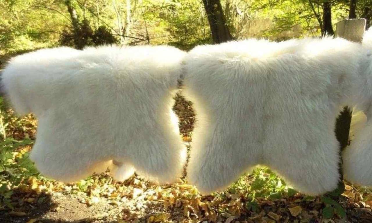 Фото з архіву Михайла Кочергана