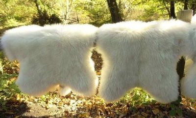 Фото з архіву Михайла Кочергана