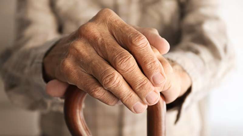 Фото pixabay.com