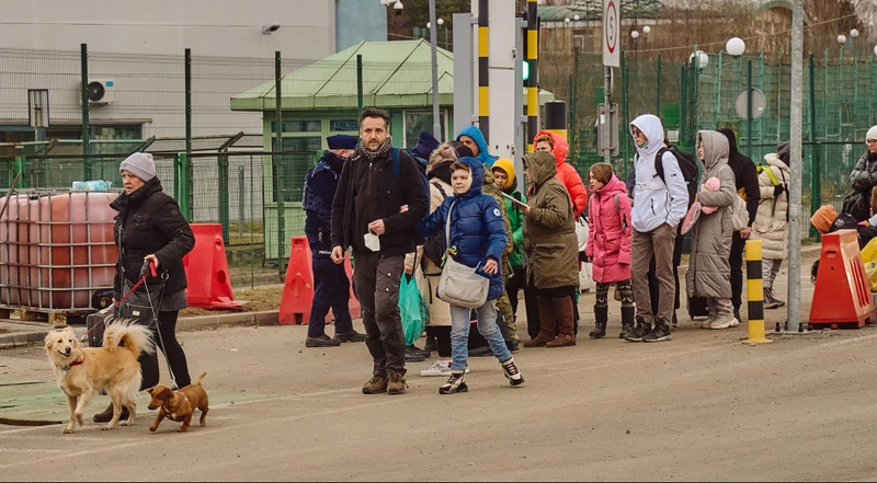 Фото: fot. Shutterstock/PhotopankPL