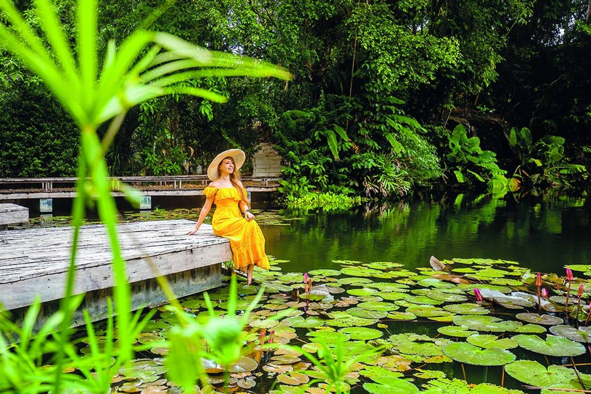 Різдво під пальмами