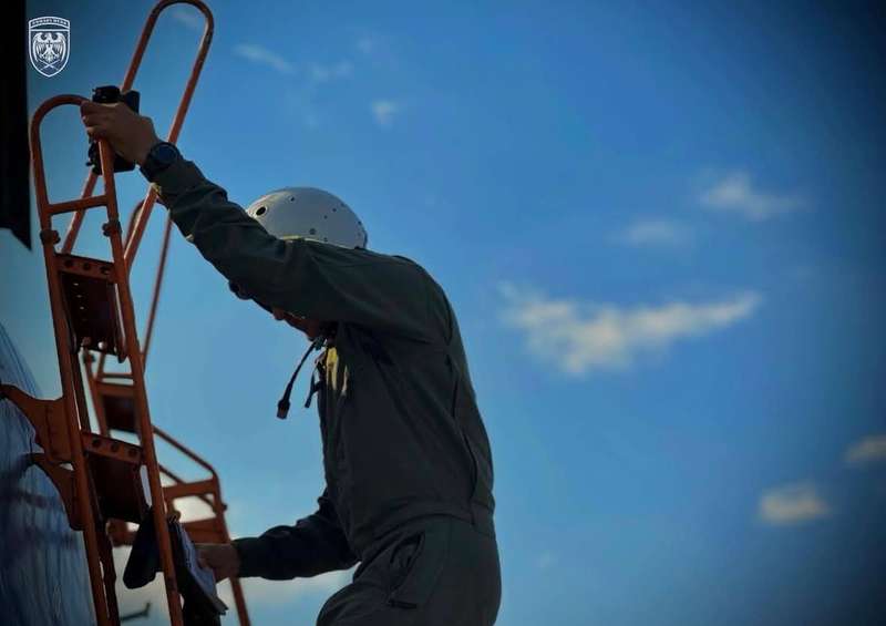 Фото: Соняшник