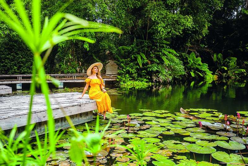 Різдво під пальмами