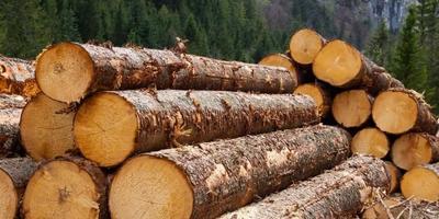 Фото ілюстративне: uncg.org.ua