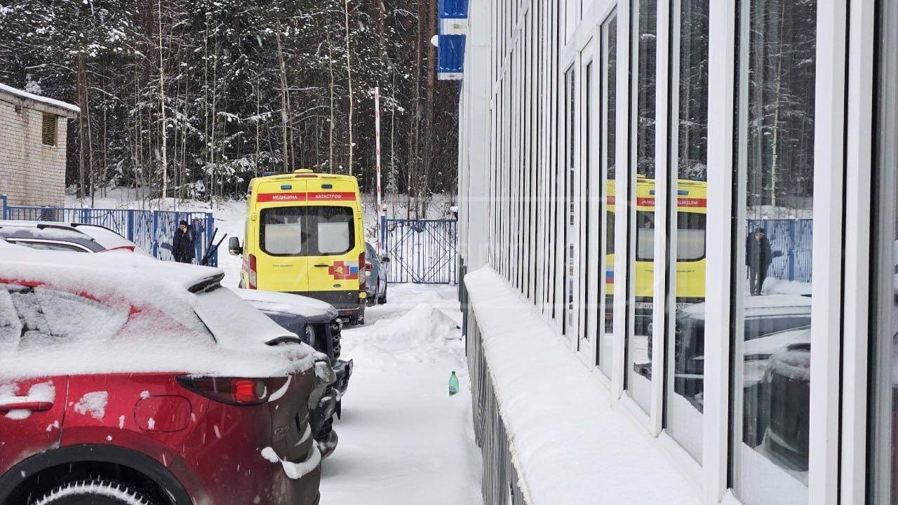 Фото: telegram.org