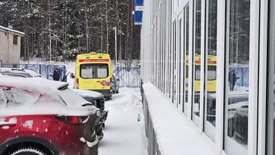 Фото: telegram.org