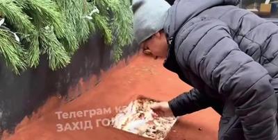 Скриншот з відео.