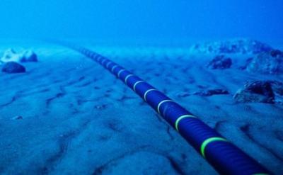 Фото: getty images