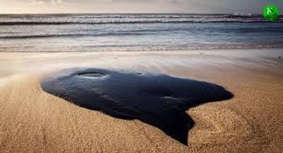 Фото: РосЗМІ