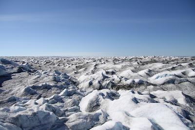 Фото: wikimedia.org