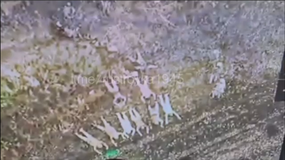 Фото: АрміяІнформ