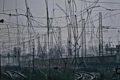 Фото: instagram.com/libkos