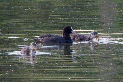 Фото facebook.com