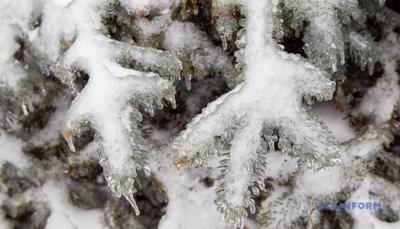 Фото: з відкритих джерел