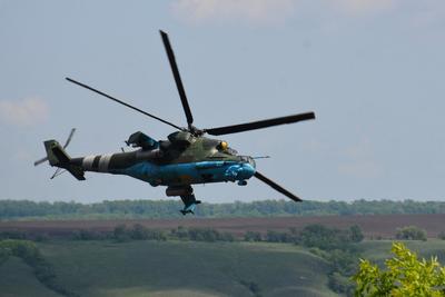 Фото ілюстративне, wikimedia.org