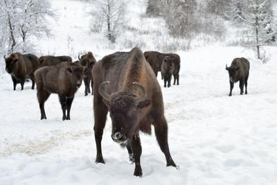 Фото з архіву співрозмовниці