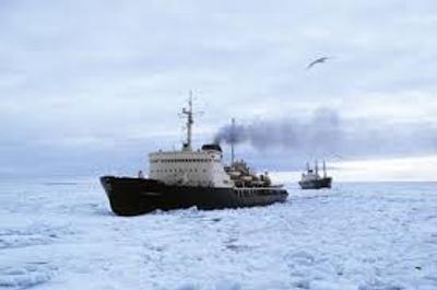 Фото: з відкритих джерел