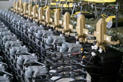 Фото: t.me/wild_hornets