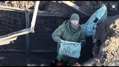 Фото: скрін-шот з відео Птахи Мадяра