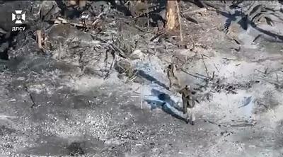 Скриншот з відео