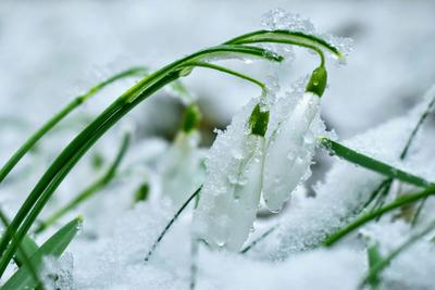 Фото: pexels.com