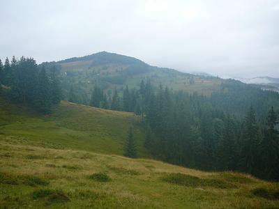Фото ілюстративне: wikimedia.org