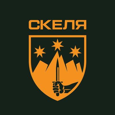 Командування перевірить дії полку “Скеля” після повідомлення Стерненка