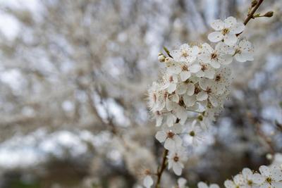 Фото: pexels.com