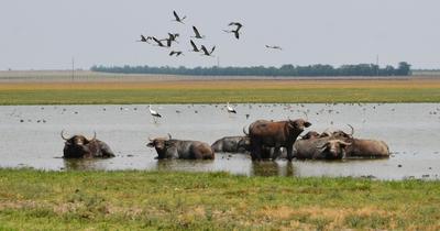 Фото з архіву заповідника