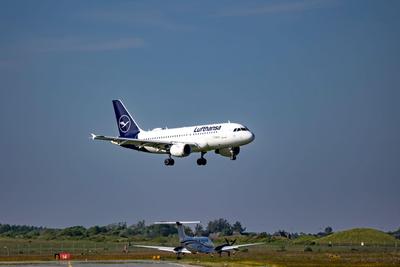 Фото: pexels.com