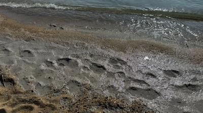 Фото  Державна екологічна інспекція Південно-Західного округу.