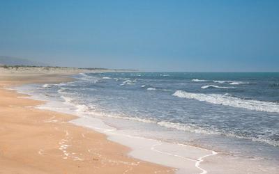 Фото: esu.com.ua